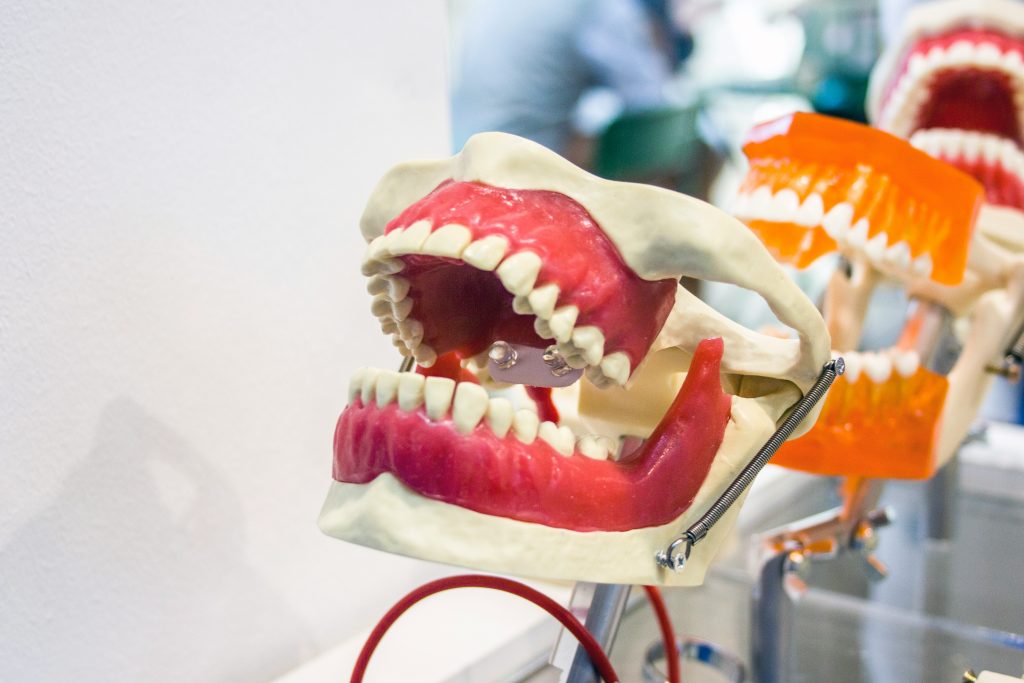 Tooth Get Build The Architecture of a Tooth: Why Strength Comes from Structure ...